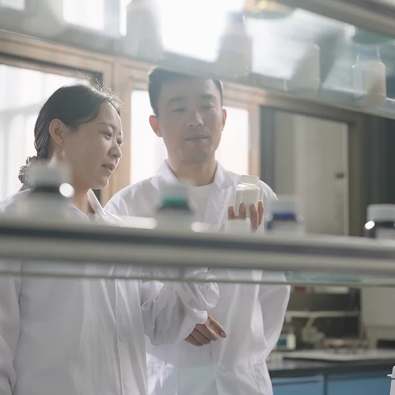 Kinjoya's R&D Lab