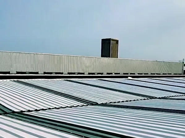 Eco-Friendly & Energy-Efficient TPO Membrane