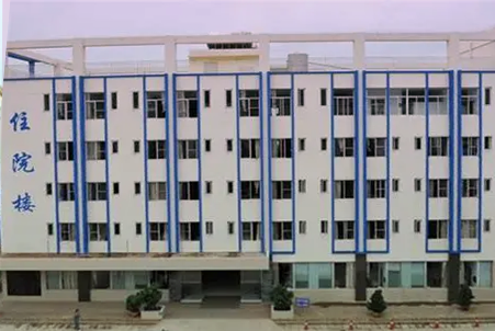 xundian-hospital-of-tcm-project.png