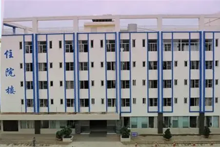 Xundian Hospital of TCM Project