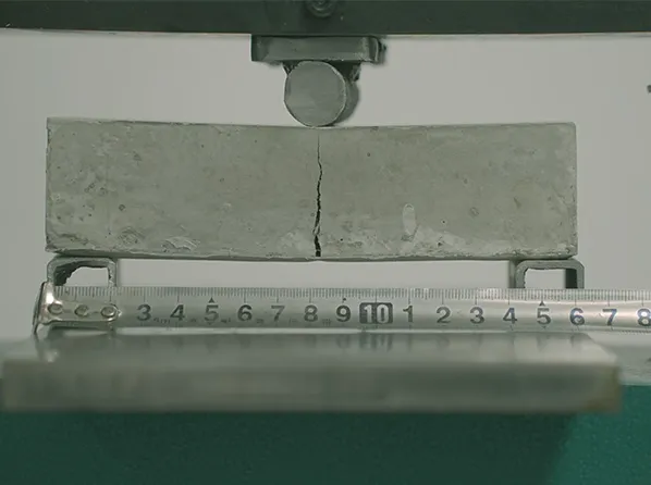 High Elasticity and Crack Bridging Ability