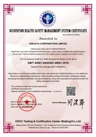 occupation health safety management system certificate