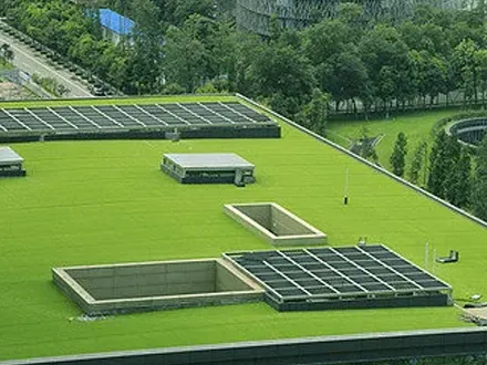 Preserving Drainage System Integrity